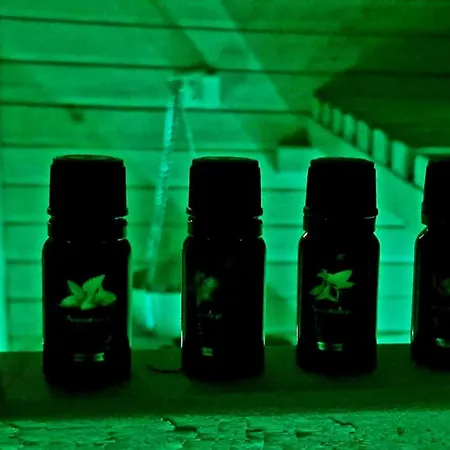 Dom Narciarza Rum i privatbostad *